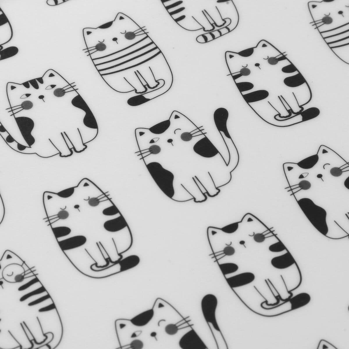 Photograph album Versa GATTO
