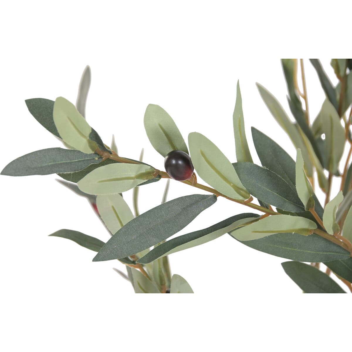 Tree Home ESPRIT Polyester Cement Olive tree 60 x 60 x 150 cm